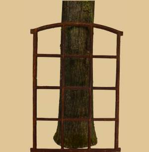 Stallfenster 12 Felder