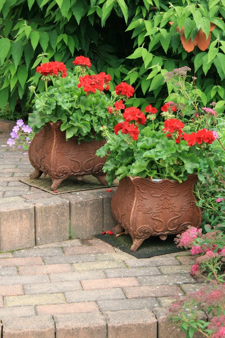 Beispielfoto fuer ausgefallene-gartendeko